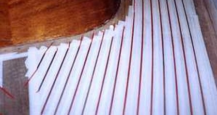 teak4[1].jpg